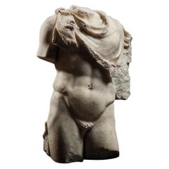 Antique Torso Draped with Panther Skin