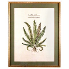 Original Vintage Custom Botanical Fern Prints with Makers Stamp