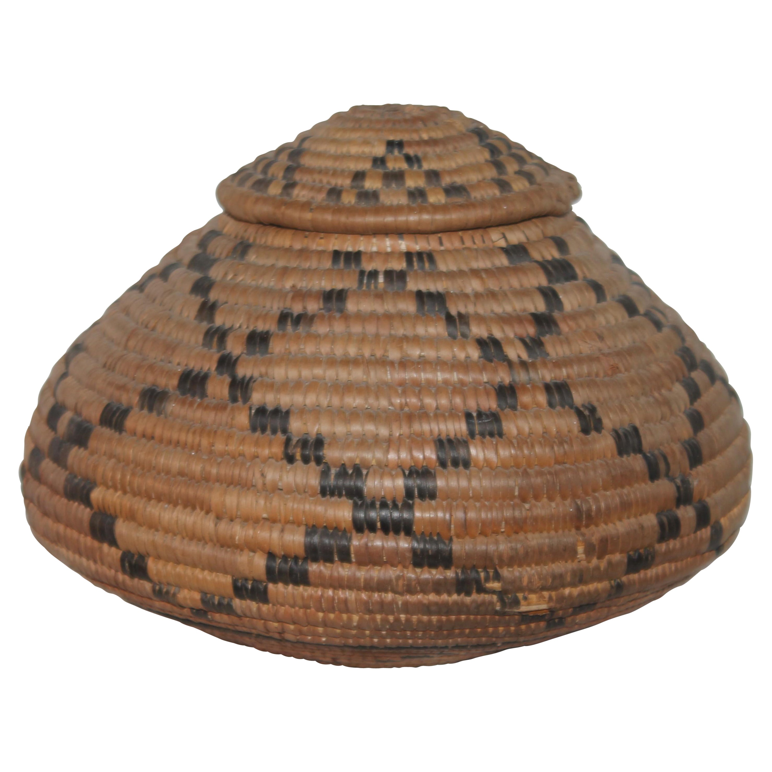 American Indian Coiled Hand Woven Lidded Basket For Sale