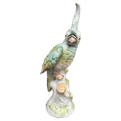 Vintage Porcelain Parrot by Paul Hanson