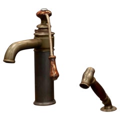 Vintage Herbeau Lille France Estelle Faucet and Hand-Spray, Wood and Weathered Brass
