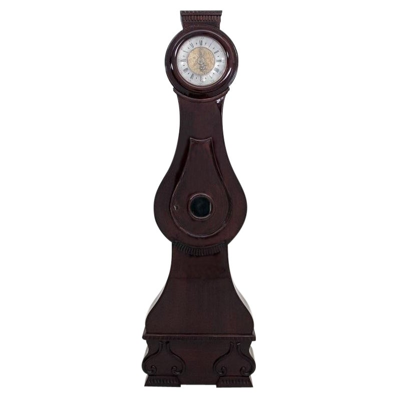 Antique Biedermeier Standing Clock, 1850 For Sale