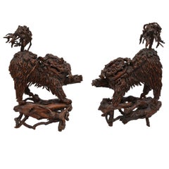 Paire de rares chiens Foo chinois en bois sculpté
