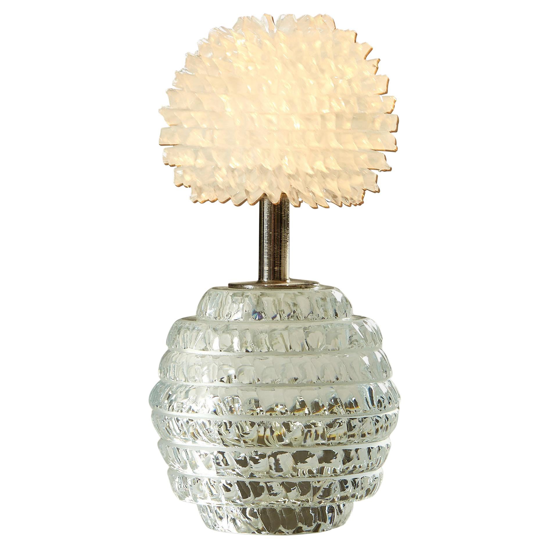 Carved and hand polished glass  'Dandelion' lamp with Glass Crystal Shade