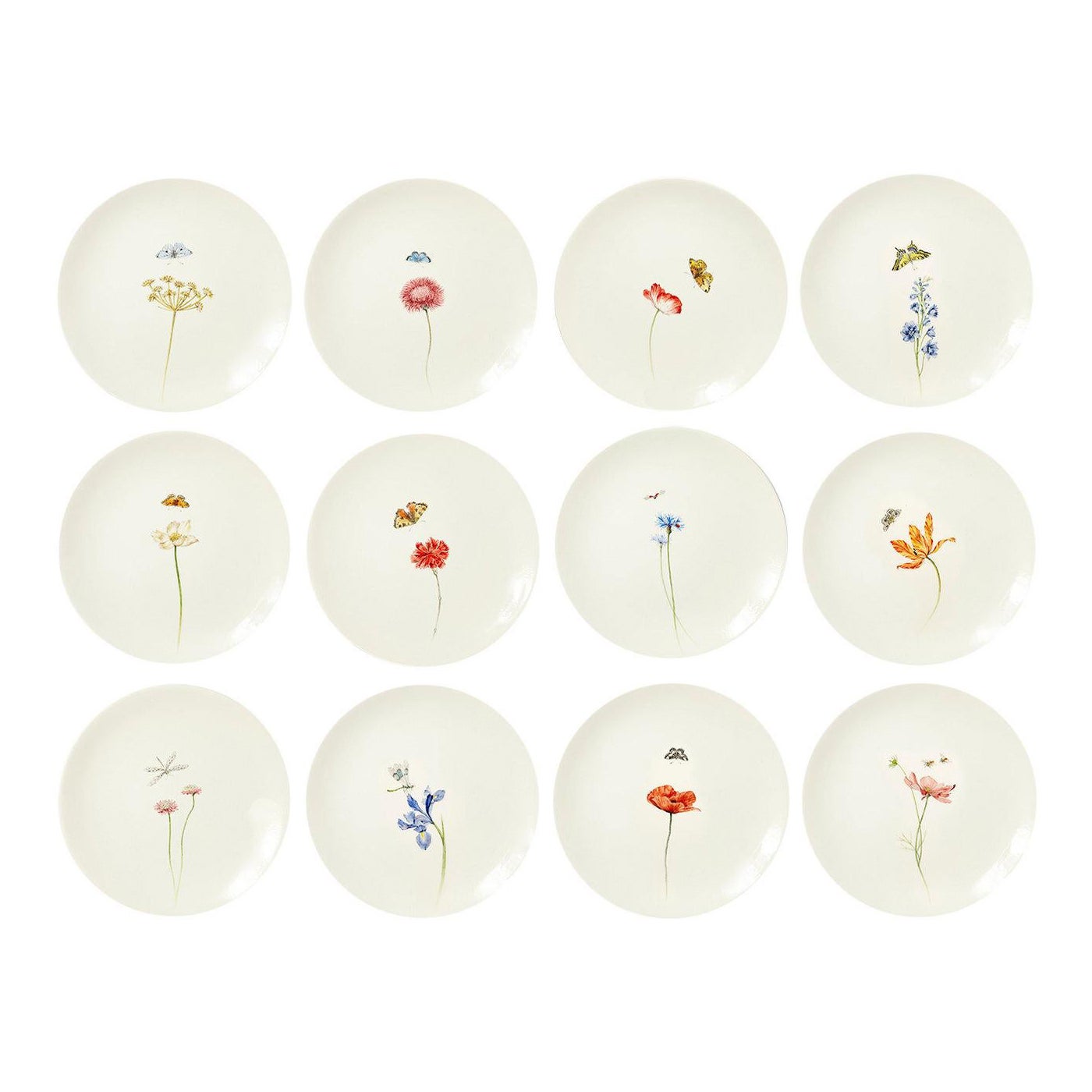 Bloom Set Of 12 Dinner Plates