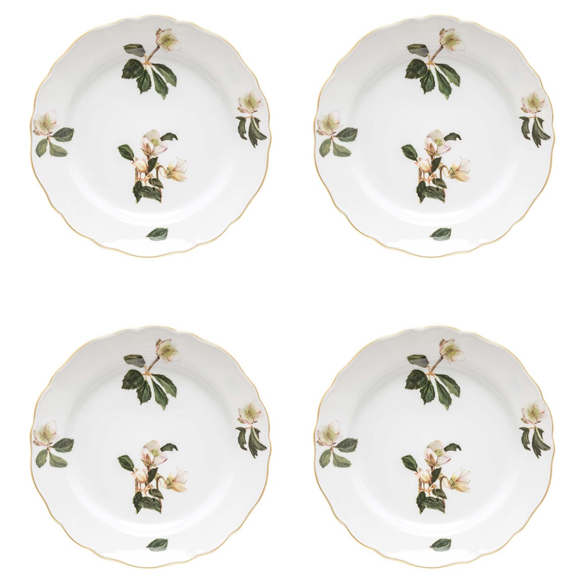 Helleborus Set of 4 Dinner Plates by Paola Caselli For Sale