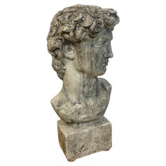 Vintage Garden Cast Stone Bust of Michelangelo's David