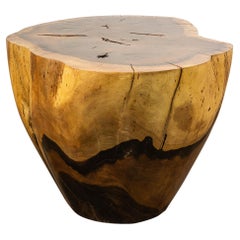 Hand Carved Live Edge Solid Wood Trunk Table ƒ34 by Costantini, in Stock