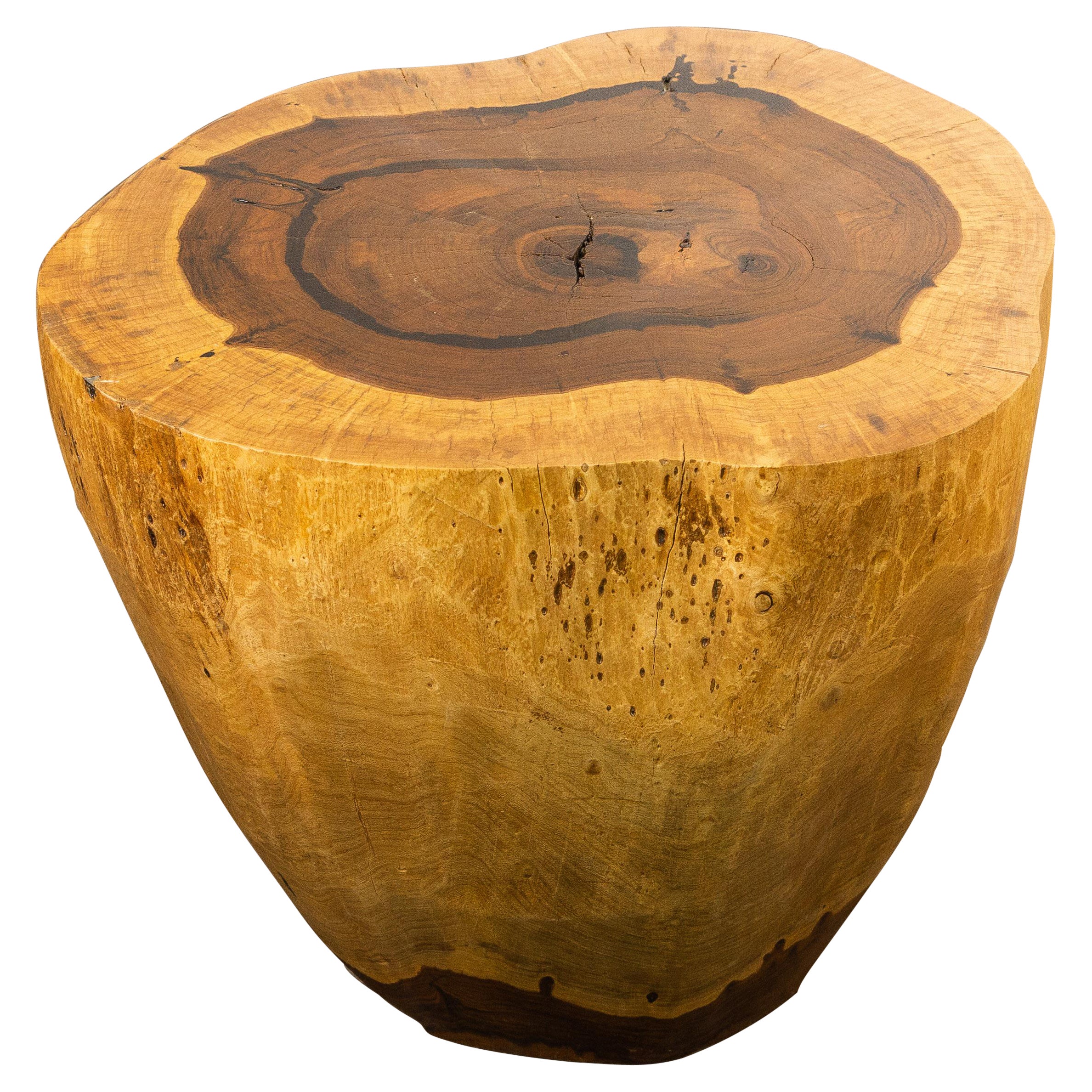 Hand Carved Live Edge Solid Wood Trunk Table ƒ37 by Costantini, in Stock For Sale