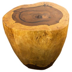 Hand Carved Live Edge Solid Wood Trunk Table ƒ37 by Costantini, in Stock