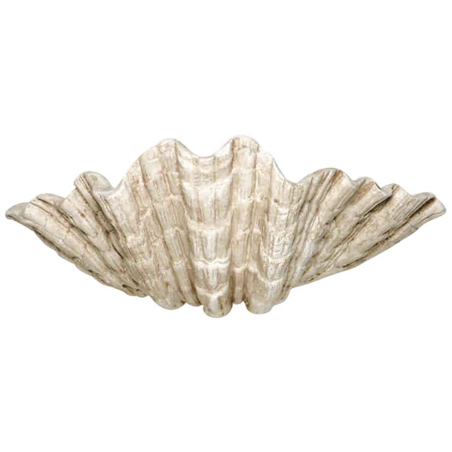 Organic Modern Shell Wall Light/Wall Sconce in White Plaster by Hannah ...