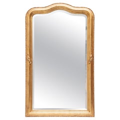 19th Century Mirror