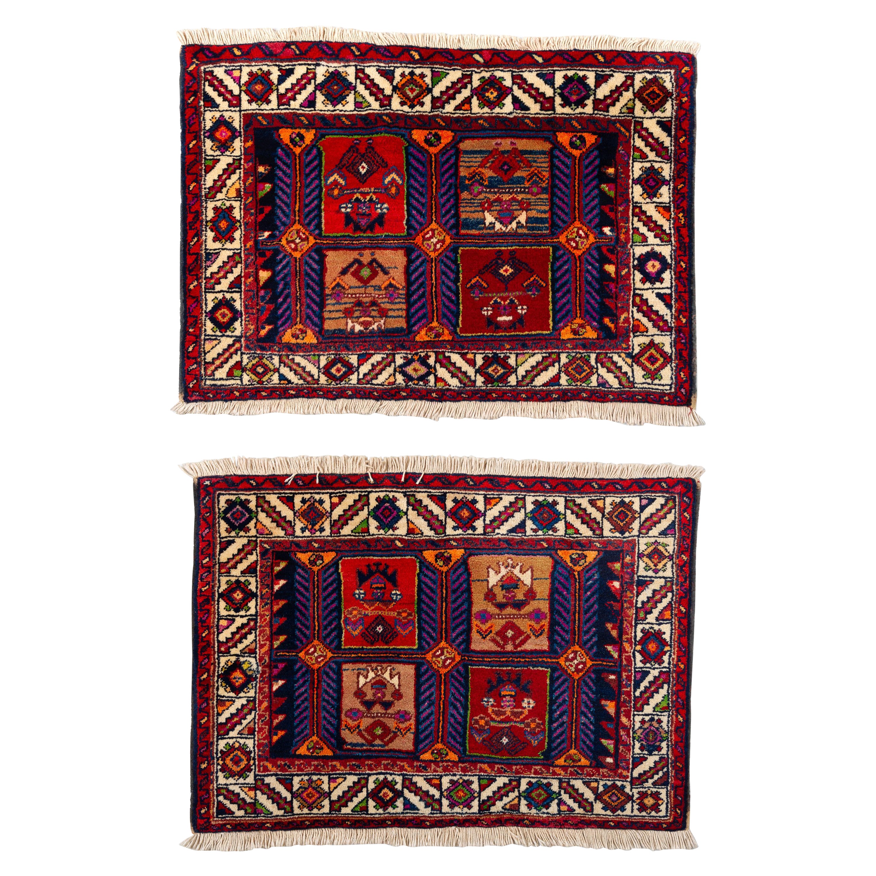 Pair of Kurdestan Little Carpets or Rugs