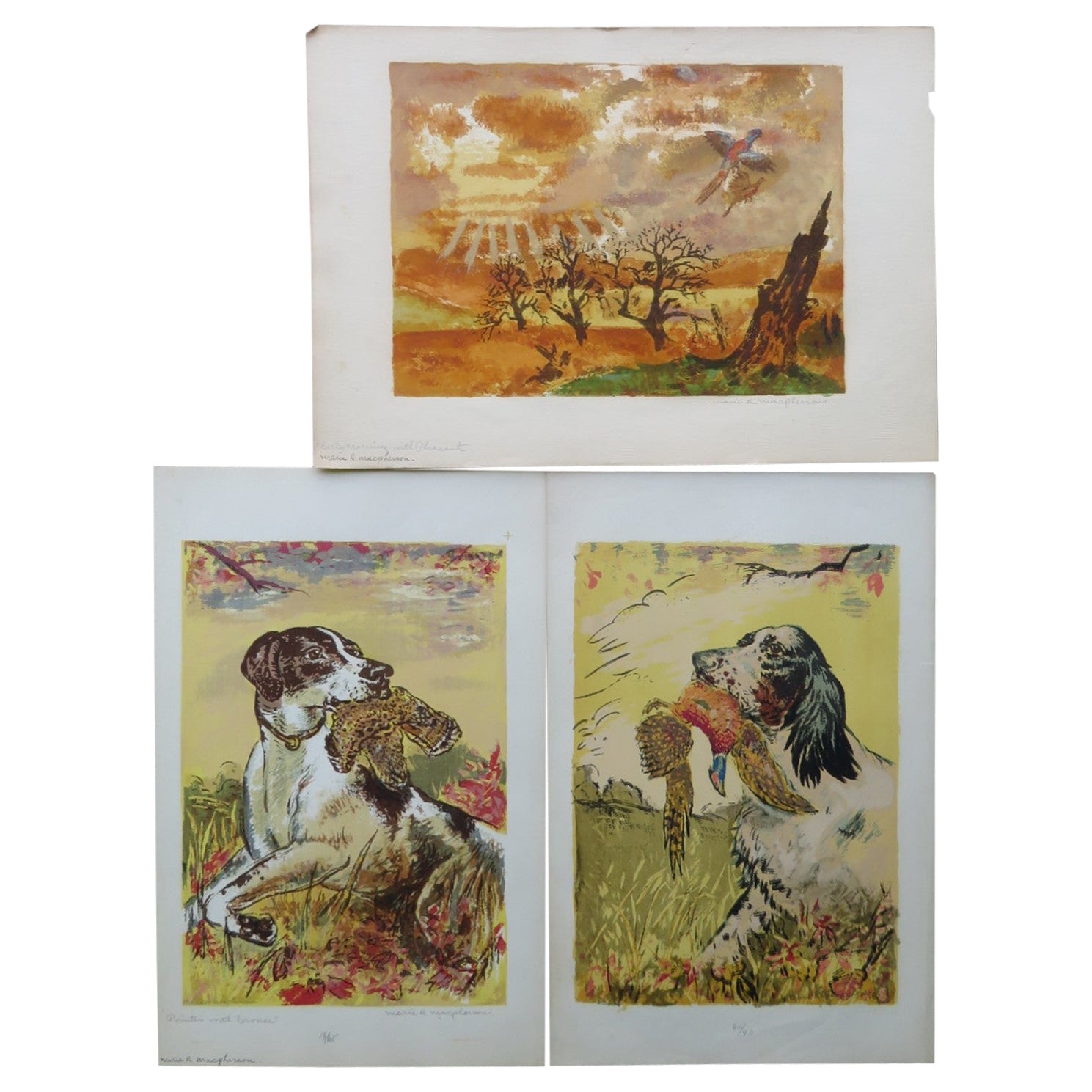 Sporting Dogs and Birds Set of 3 Colored Serigraphs Marie R. MacPherson, 1950s For Sale