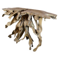 Teak Root Console Table "The Flame" Organic Modern, 2021