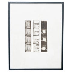 Photographie contemporaine de Luce, vers 2019
