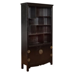 Chinese Vintage Black Lacquer Bookcase with Irregular Shelves and Two Doors