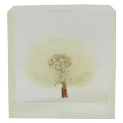 Vintage Lucite Cube Encased Dandelion Flower