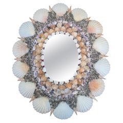 1970s Spanish Natural Conch Decorated Wall Mirror