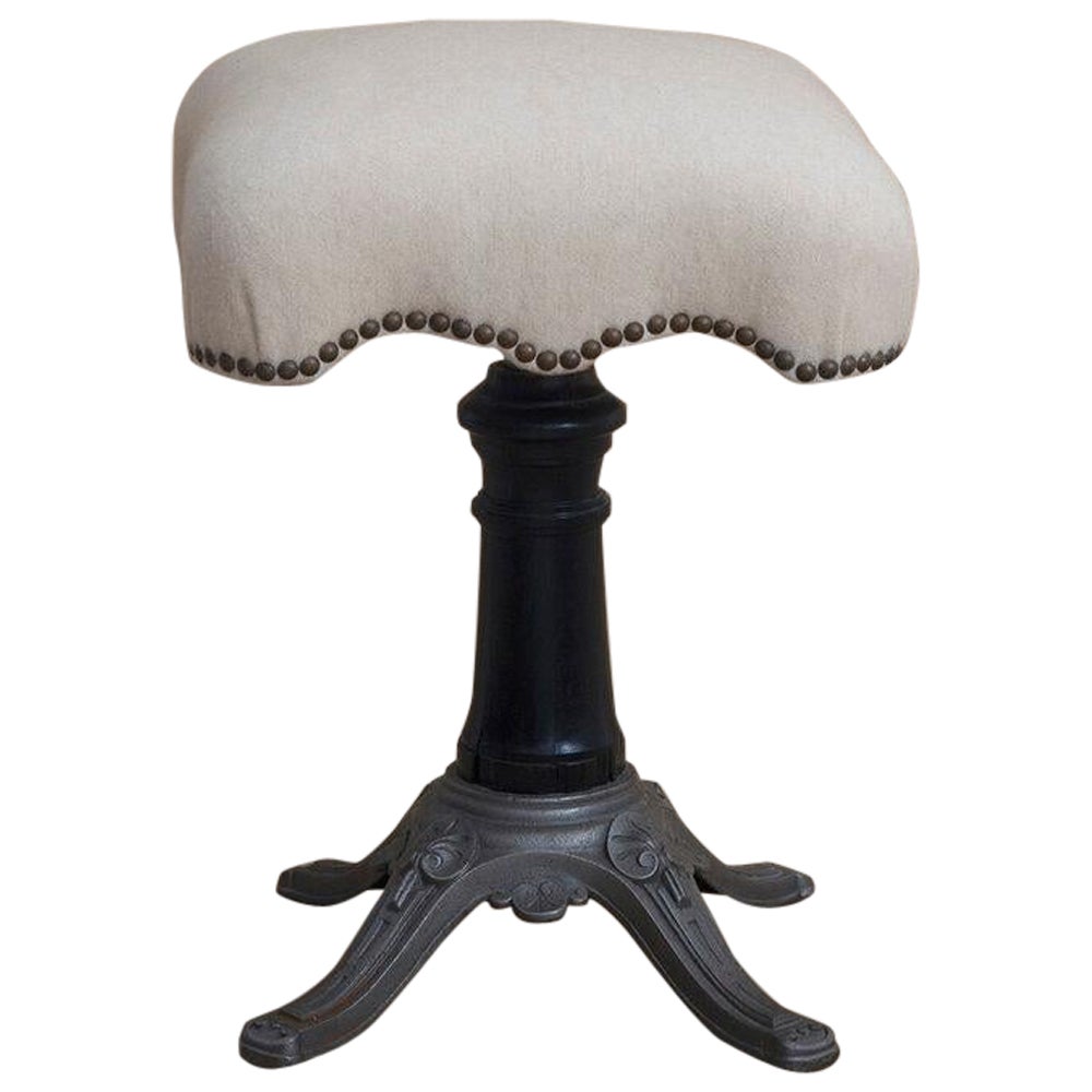 American Aesthetic Movement Swivel Stool with Cast Iron and Wood Base For Sale