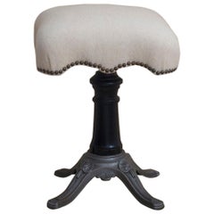 American Aesthetic Movement Swivel Stool with Cast Iron and Wood Base
