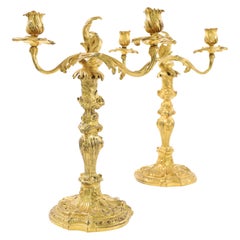 Pair of Fire Gilt Louis Quinze Candelabras, France Mid-18th Century