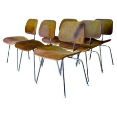 6 Limited Edition Charles Eames for Herman Miller DCM in Tri-Color Hairy Hide