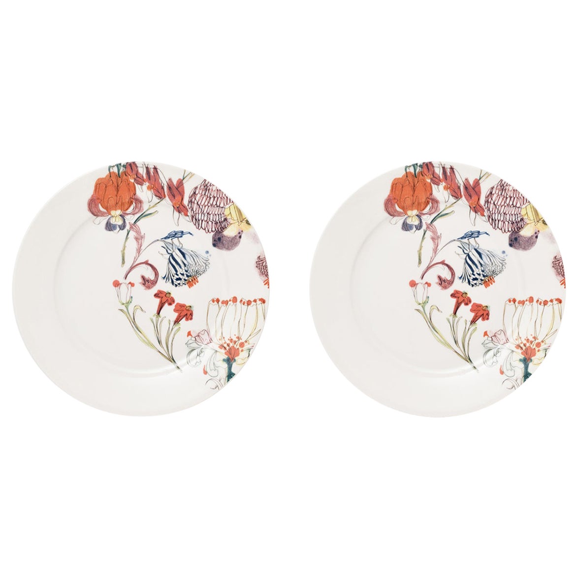 Ensemble d'assiettes à dîner en porcelaine contemporaine Grandma's Garden avec motifs floraux