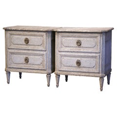 Pair of 19th Century French Louis XVI Hand Painted Two-Drawer Nightstands Chests