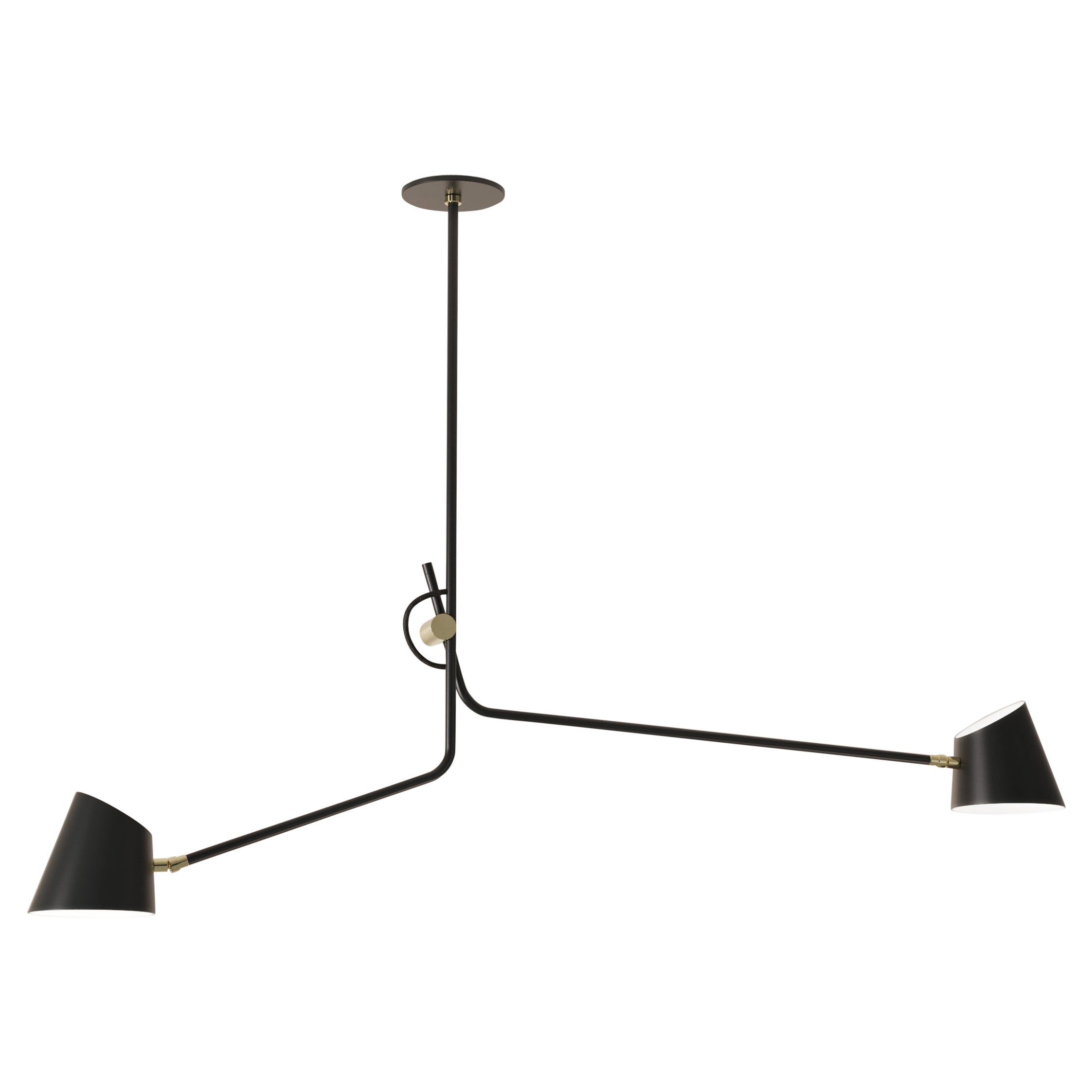 Hartau Double Contemporary Matte Black Pendant with Shades by d'Armes For Sale