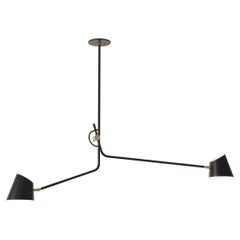 Hartau Double Contemporary Matte Black Pendant with Shades by d'Armes
