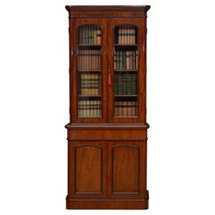 Antique Slim Victorian Mahogany Bookcase Chiffonier
