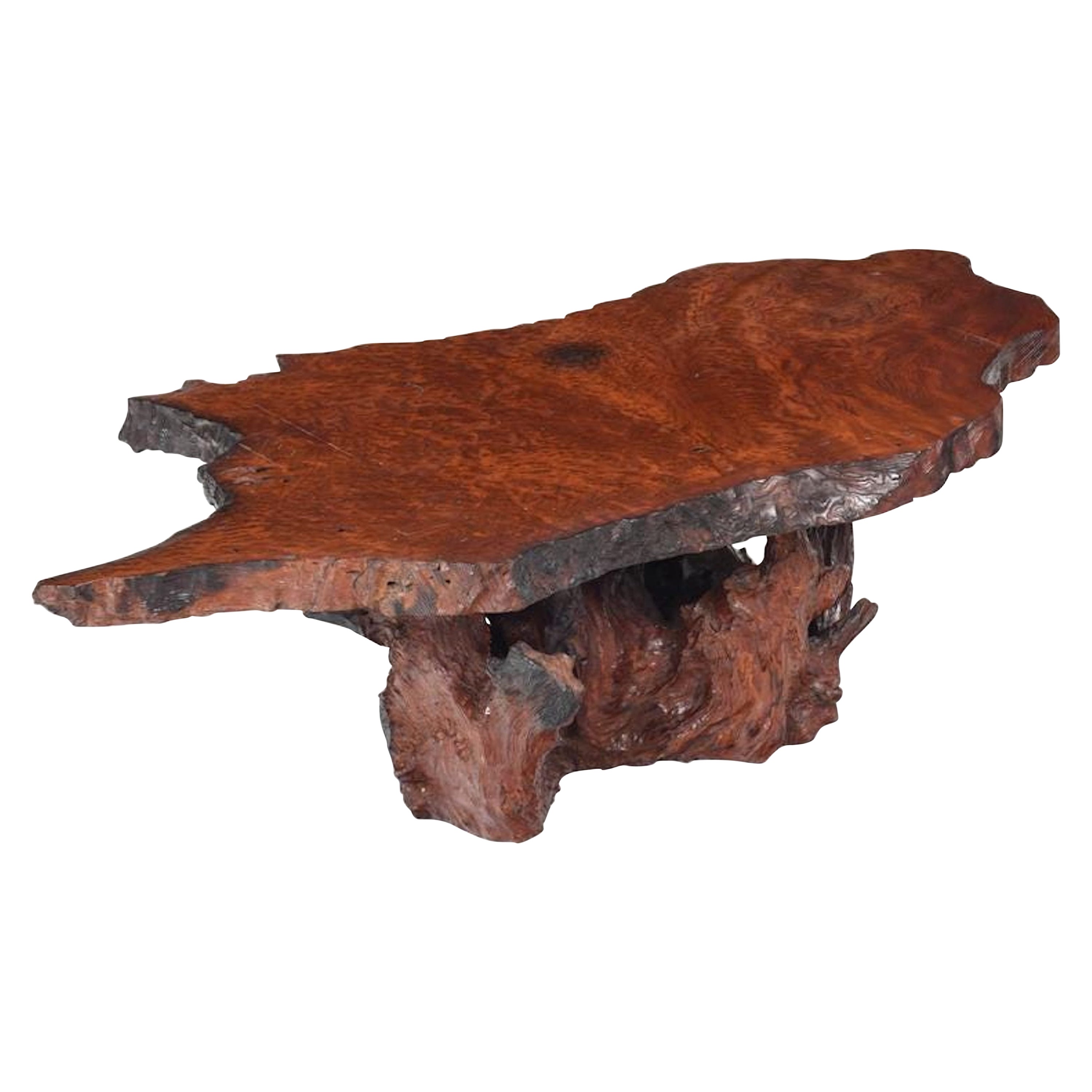 Modern Burl Live Edge Coffee Table, Larger For Sale