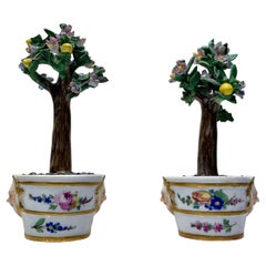 Rare Pair Meissen Marcolini Lemon Trees in Tubs Circa 1790 Porcelain