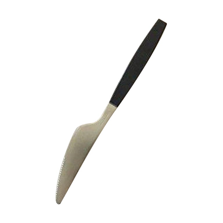 Jensen Alfredo Kitchen Roll Holder in Stainless Steel by Alfredo