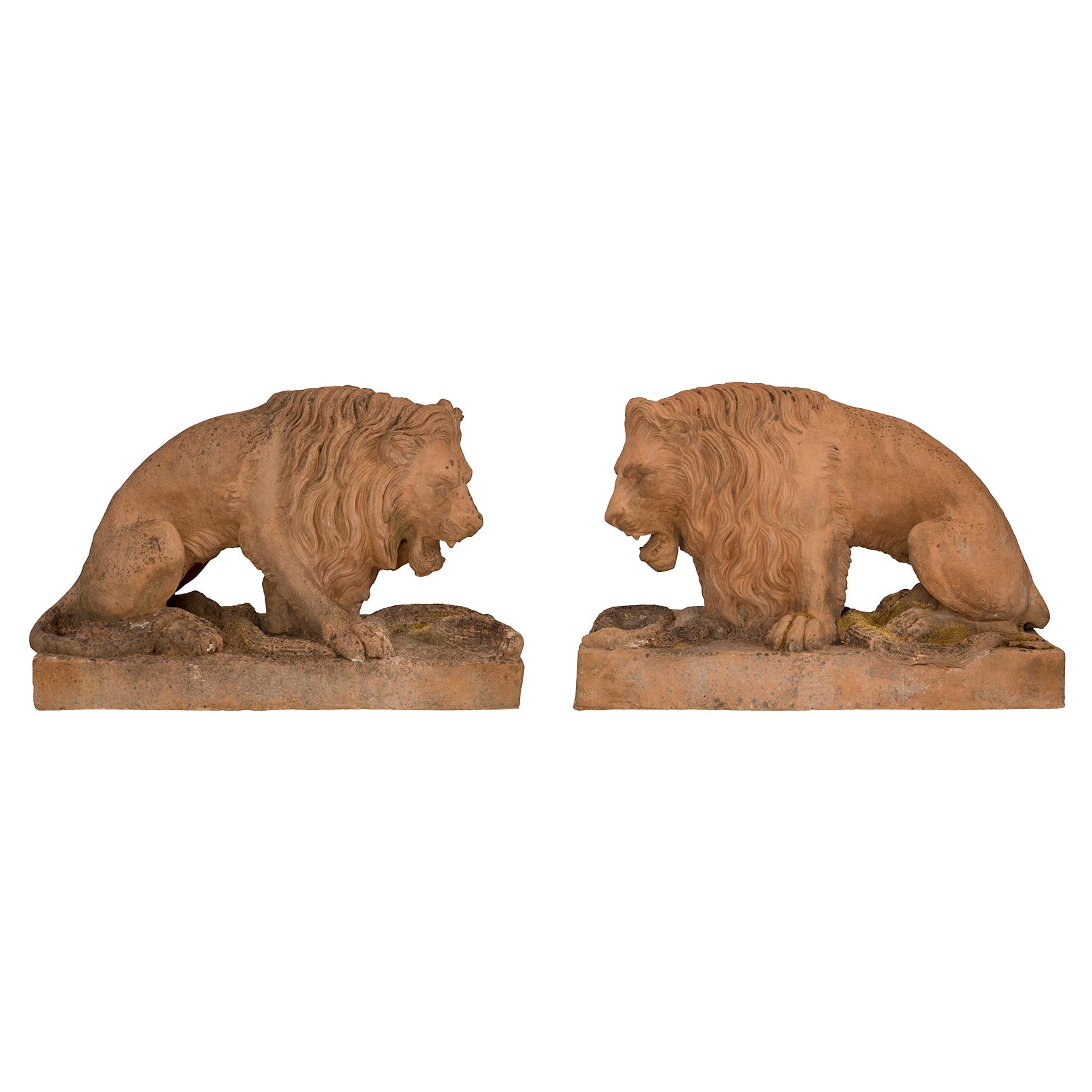 Paire de statues italiennes de lions en terre cuite du XIXe siècle, datant d'environ 1850