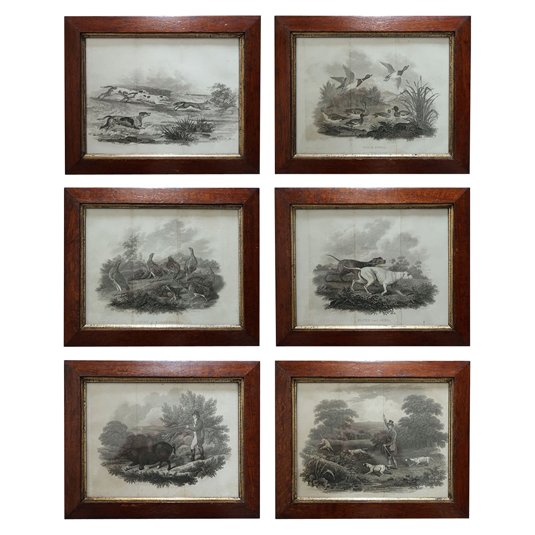 Set of 6 Original Antique Sporting Prints in Pollard Oak Frames, C.1810