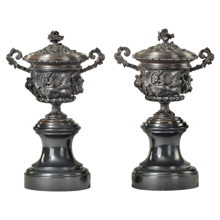 A Fine Pair of Bronze Urns or Vases and Covers c.1870 For Sale at 1stDibs