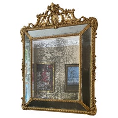 A Monumental French Gilt Cushion Panel Mirror