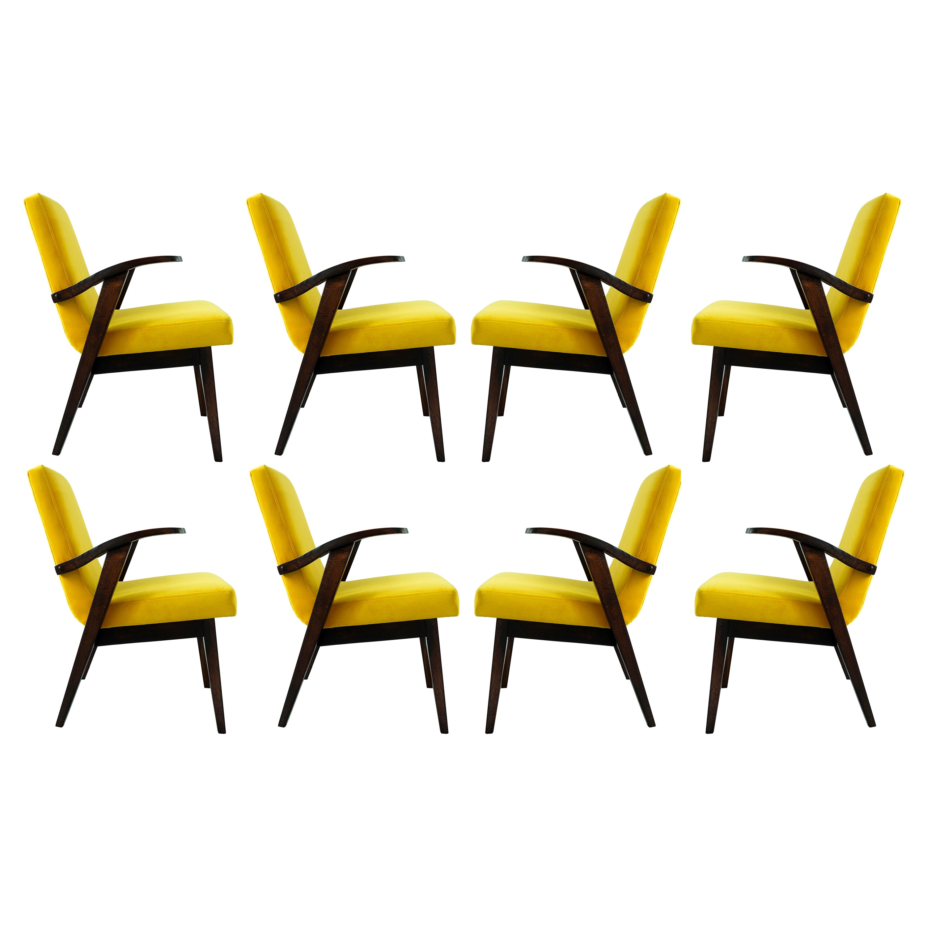 Set of Eight Vintage Chairs in Yellow Velvet by Mieczyslaw Puchala, 1960s For Sale