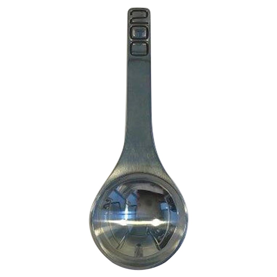 Georg Jensen Sterling Silver Commemorative Spoon For Sale