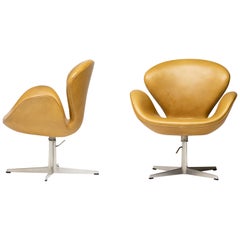 1971 Leather Swan Chairs by Arne Jacobsen