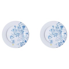 Blue Summer, Contemporary Porcelain Dinner Plates Set with Blue Floral Design