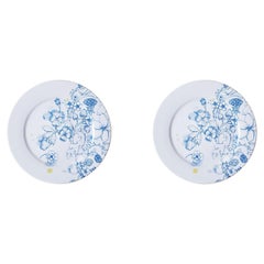 Verano Azul, Juego de Platos de Porcelana Contemporáneos con Diseño Floral Azul