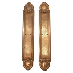 Antique Bronze Victorian Push Plates for Door, Pair, with Gilded Finish
