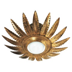 Sunburst Flower Light Fixture or Pendant in Gilt Metal