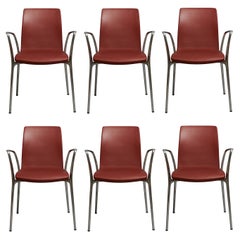 Set of 6 Jorge Pensi "Gorka" Chair