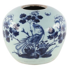 Chinese Celadon and Blue Peacock Porcelain Vase
