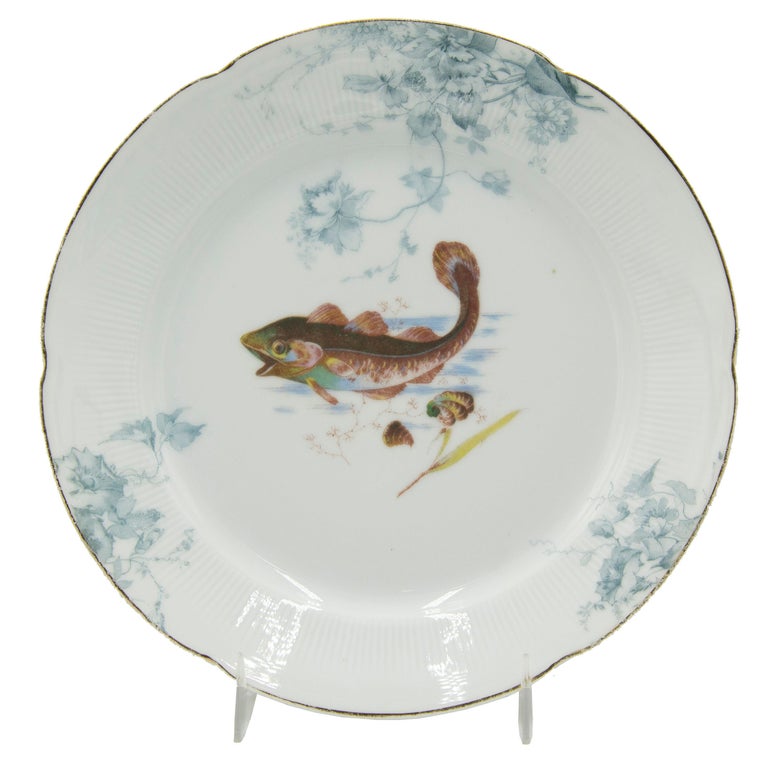Set of 12 Austrian Porcelain Plates with Fish For Sale at 1stDibs