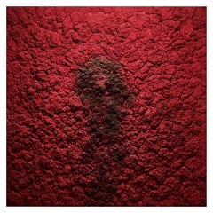 Œuvre d'art contemporaine en techniques mixtes sur toile rouge de Bosco, 2012.